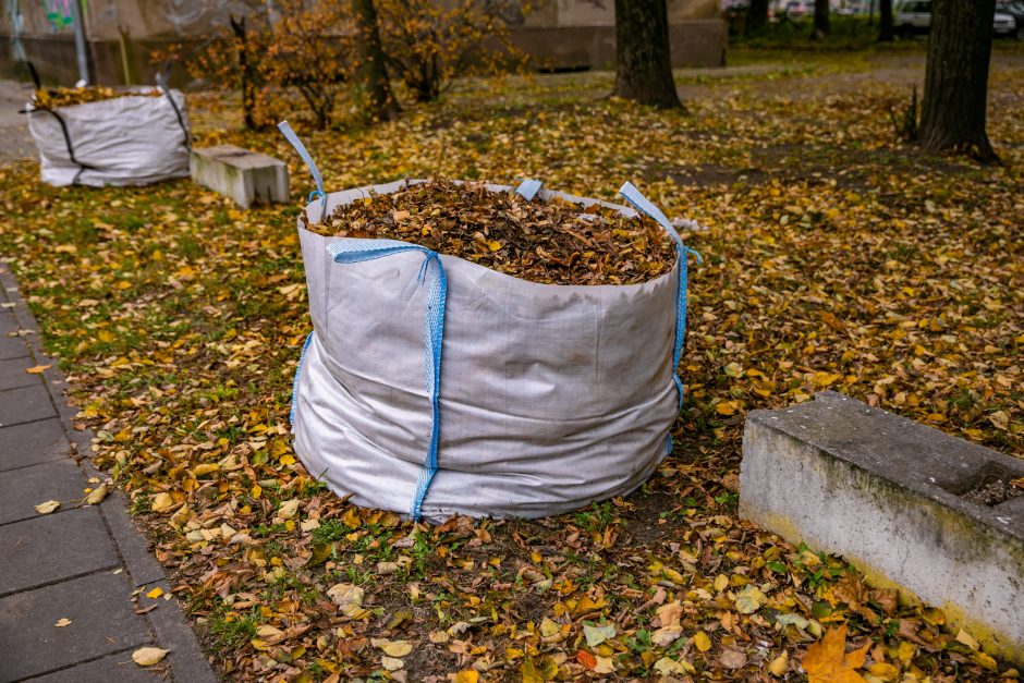 Vilniaus daugiabučių kiemuose – per 2,7 tūkst. didmaišių žaliosioms atliekoms