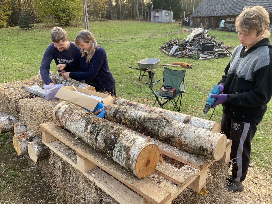 Grybų ūkį įkūrusi šeima nebijo „pjauti grybo“