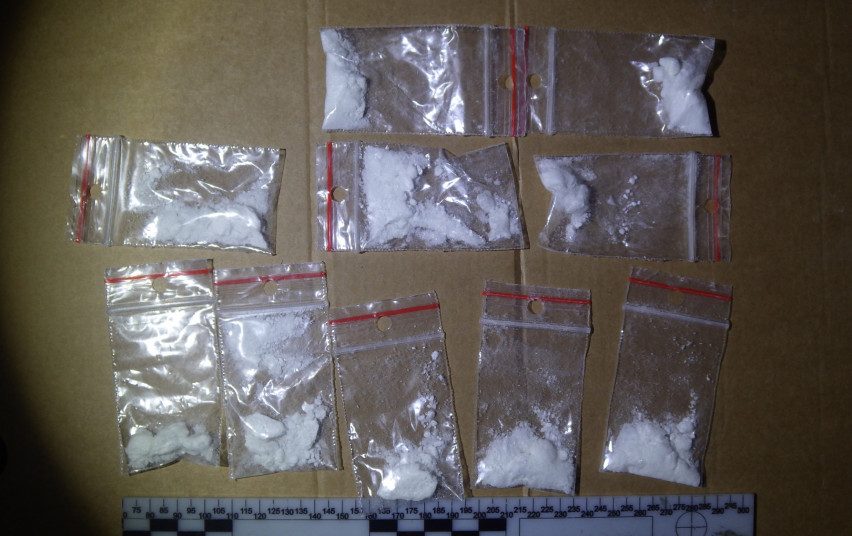 Trakų rajono gyventojas bus teisiamas dėl didelio kokaino kiekio laikymo