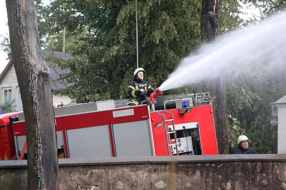 Vilniaus rajone dega ūkinis pastatas, kyla pavojus šalia esantiems pastatams
