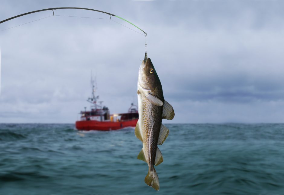Kviečiama kreiptis dėl kompensacinių išmokų žvejojančius pasyviosios žvejybos įrankiais