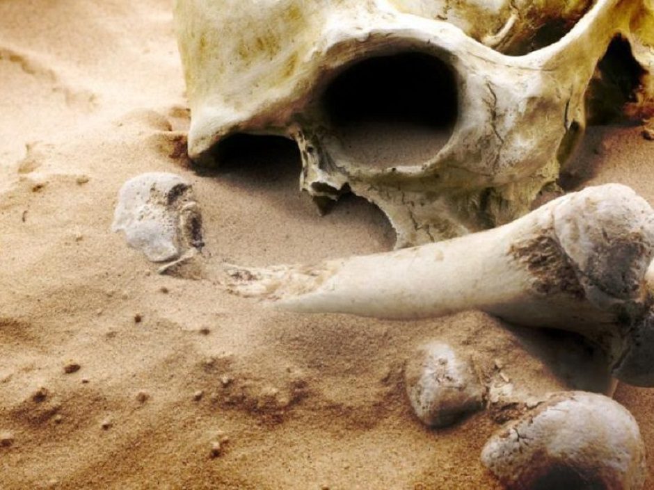 Anykščių rajone partizanų kape rasti žmogaus kaulai