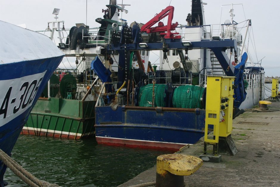 Siekia uždrausti žvejybą Baltijos jūroje