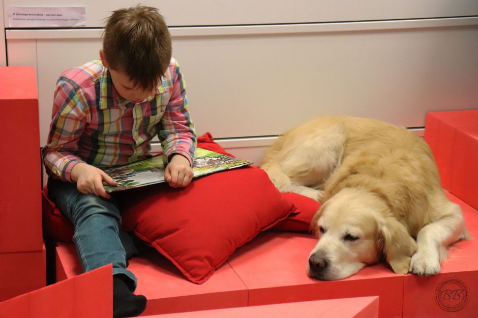 Skaitymas su šunimi padeda ne tik vaikams, bet ir po insulto ar sergant Alzheimeriu