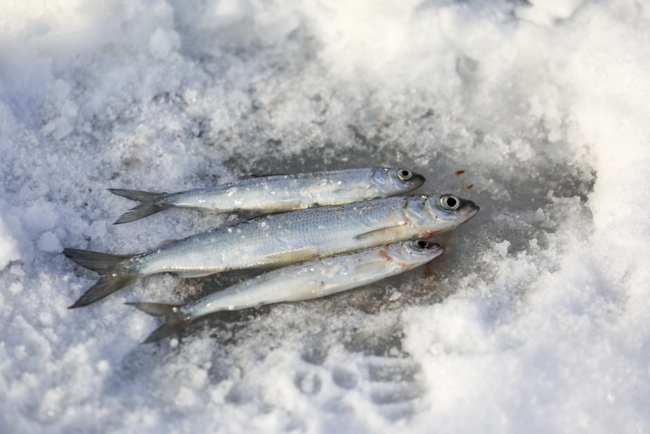 Aplinkosaugininkai: šalti orai kelia pavojų užšalusių vandens telkinių žuvims