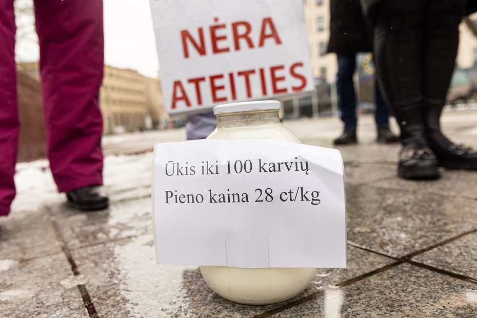 Premjerė: savivaldos rinkimai trukdė laiku suvaldyti pieno krizę
