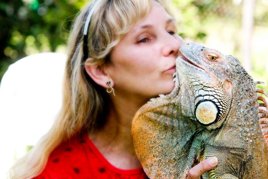 Iguanos – šaltakraujės draugės, ištroškusios žmogiškos šilumos