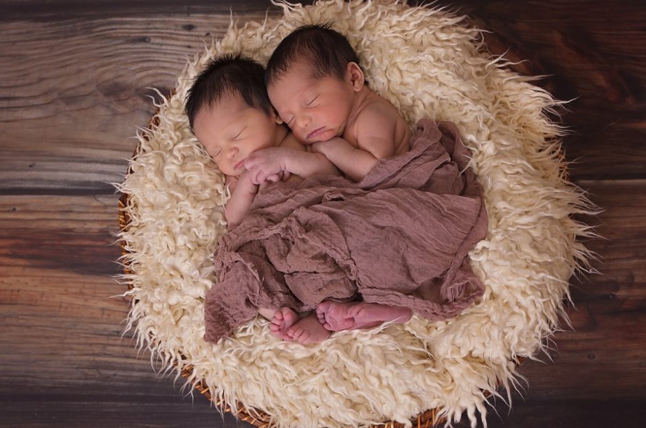Dvynės kone tą pačią valandą pagimdė berniukus
