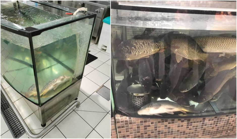 Patirtis parduotuvėje „Iki“: po klausimo apie nugaišusią žuvį – darbuotojų juokas
