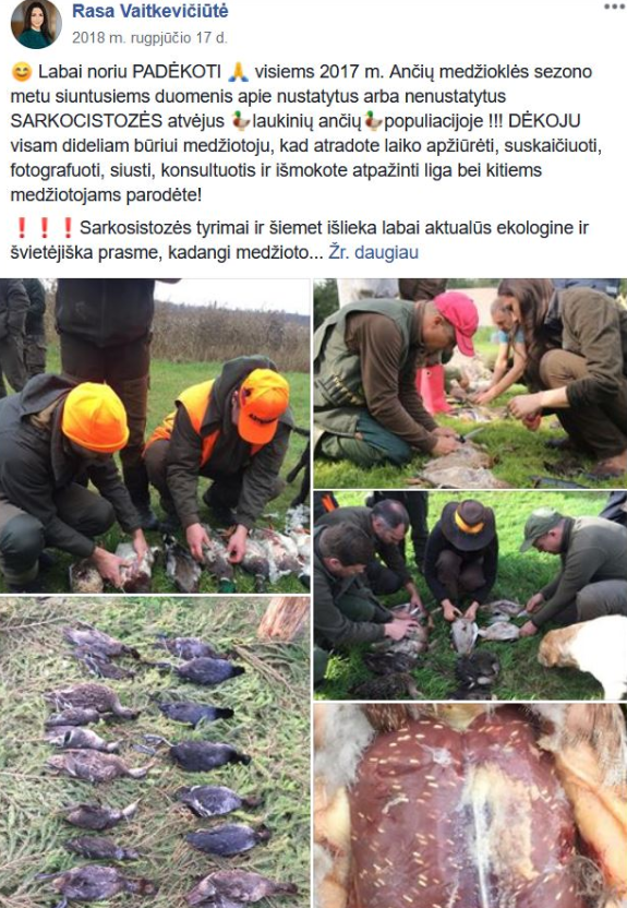 Viceministrė R. Vaitkevičiūtė dalyvavo medžioklėje, kurioje nušautos saugomos antys?