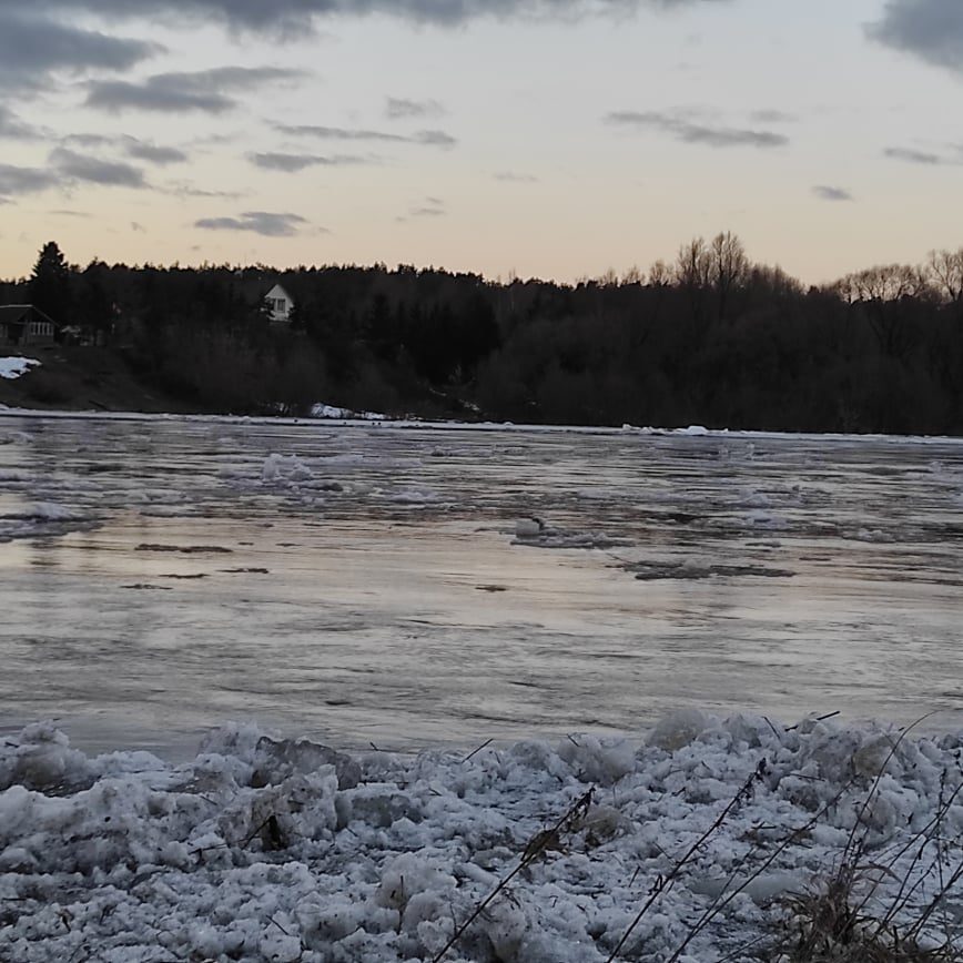 Neryje kyla vandens lygis: upe pajudėjo ledai
