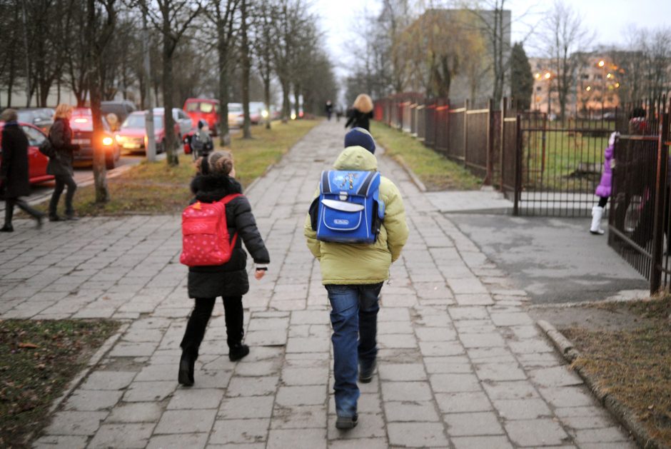 Skandalas Ukmergės mokykloje: teis buvusią direktorę dėl fiktyvių mokinių