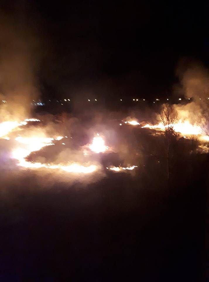 Praėjusią parą vėl siautėjo padegėjai: išdegė beveik 165 ha žolės