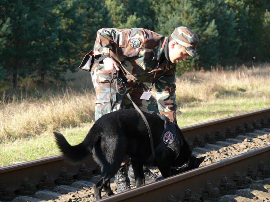 Tarnybiniai šunys rungsis narkotikų, sprogmenų bei ginklų paieškos čempionate