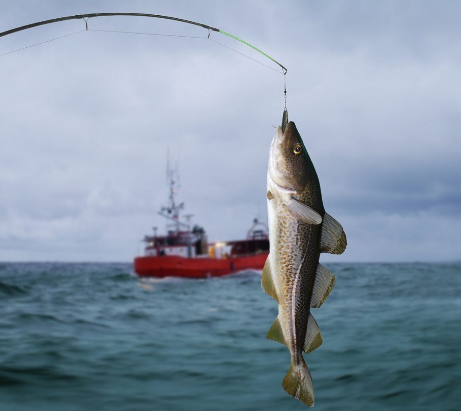 Baltijos jūroje sugriežtinta mėgėjiška žvejyba