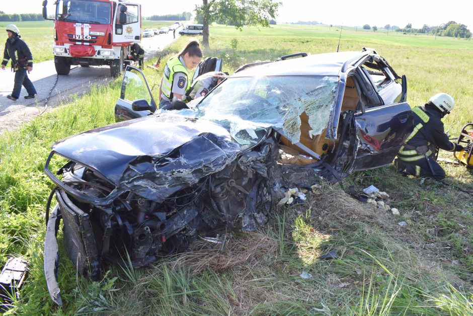 Alytuje per dviejų „Audi“ kaktomušą nukentėjo 7 žmonės (ieškomi avarijos liudininkai)