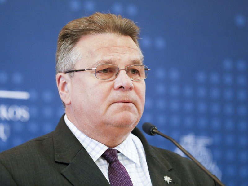 L. Linkevičius ragina Latviją tęsti derybas dėl prekybos elektra