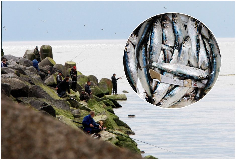 Klaipėdos žvejai žvangina tuščiais kibirais