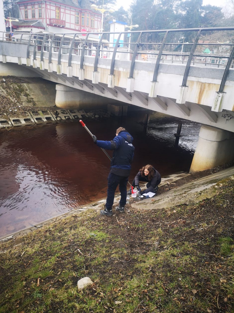 Detektyvas Palangoje: Rąžė nusidažė raudona spalva