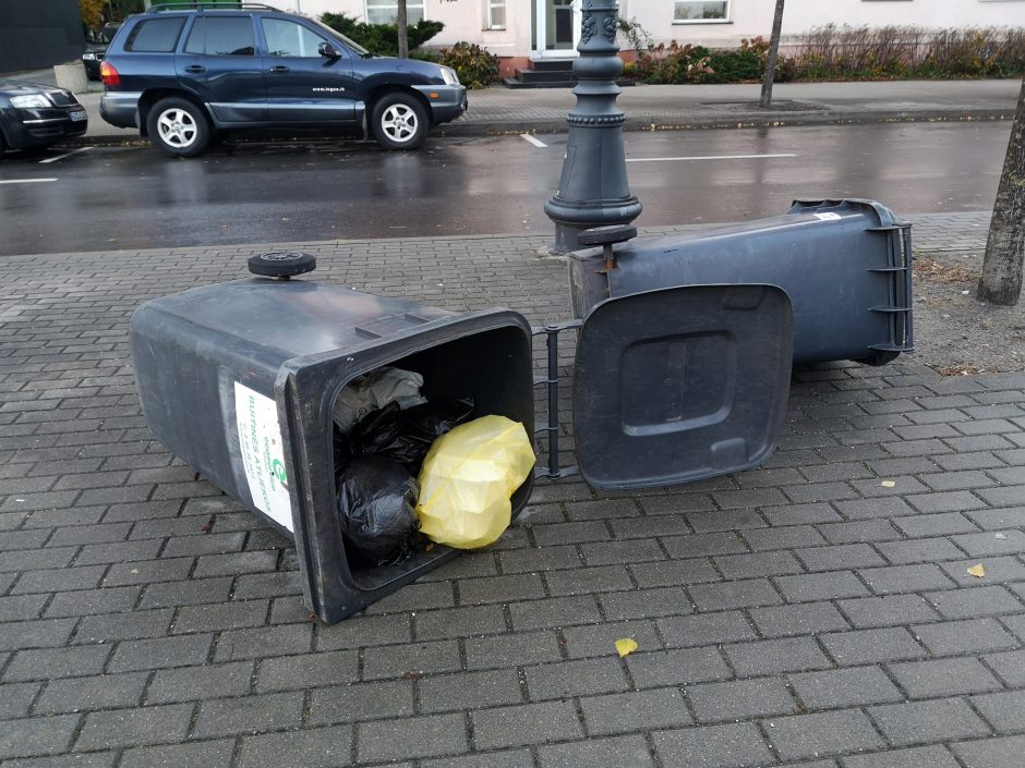 Uostamiestyje praūžė audra: virto medžiai, nuo pastatų nuplėštos palangės