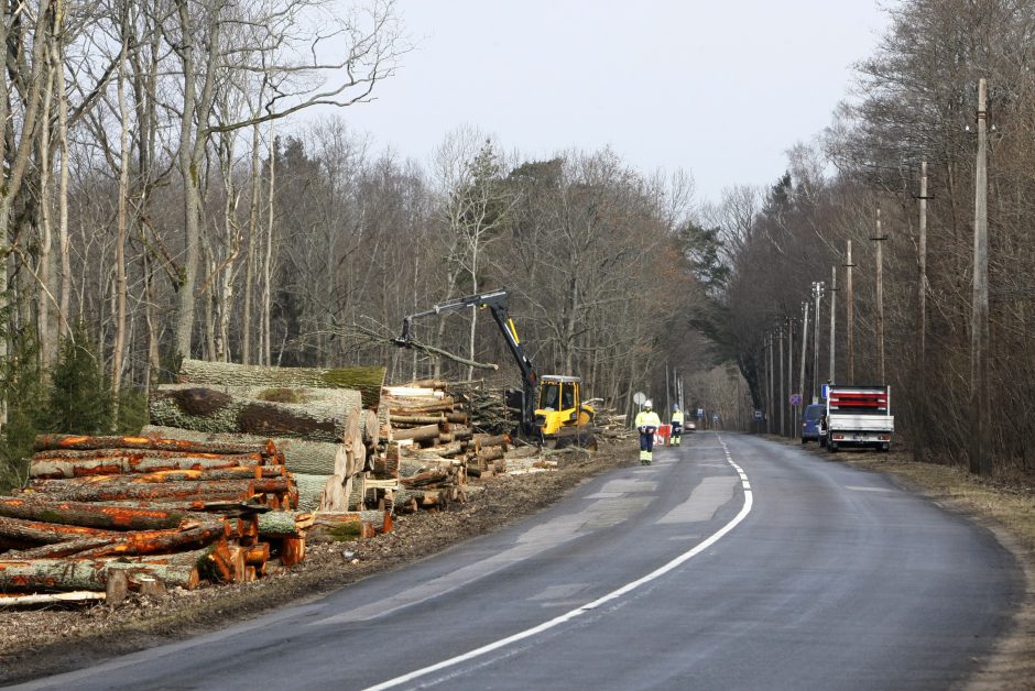 Klaipėdoje sumažės valstybinių miškų