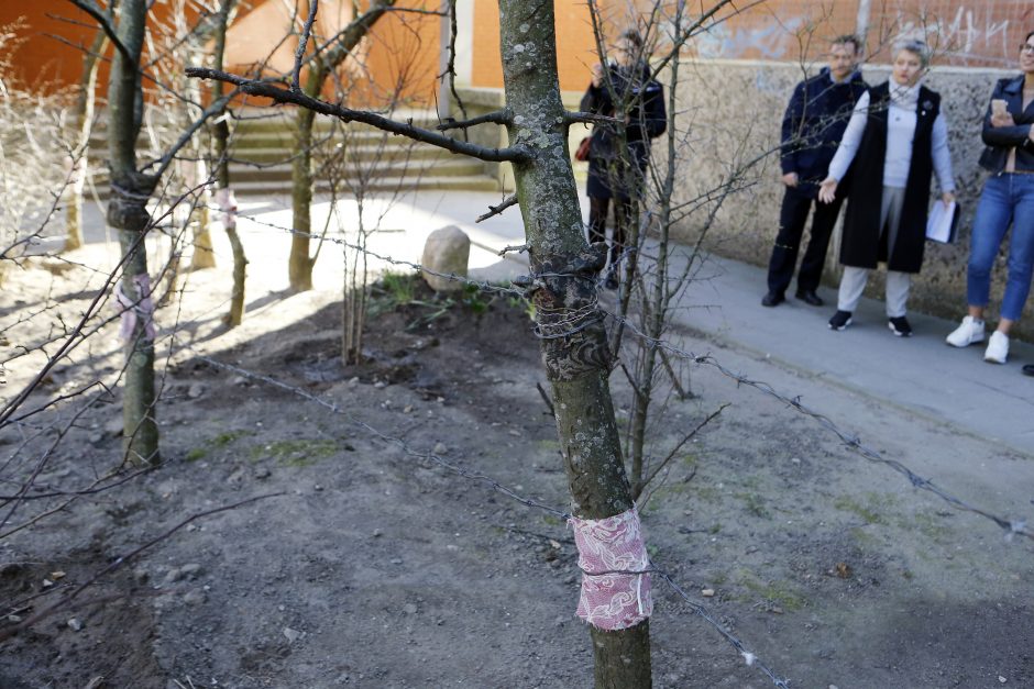 Dėl valstybinėje žemėje šeimininkaujančio kaimyno – nesutarimai