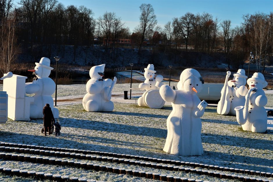 Sniego senių festivalis