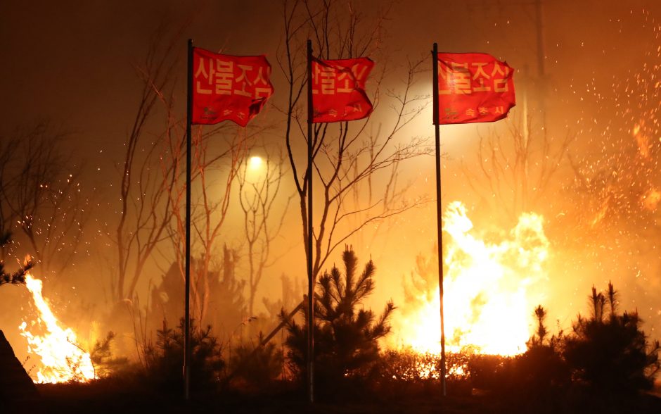 Pietų Korėjoje dėl miško gaisrų paskelbta nepaprastoji padėtis