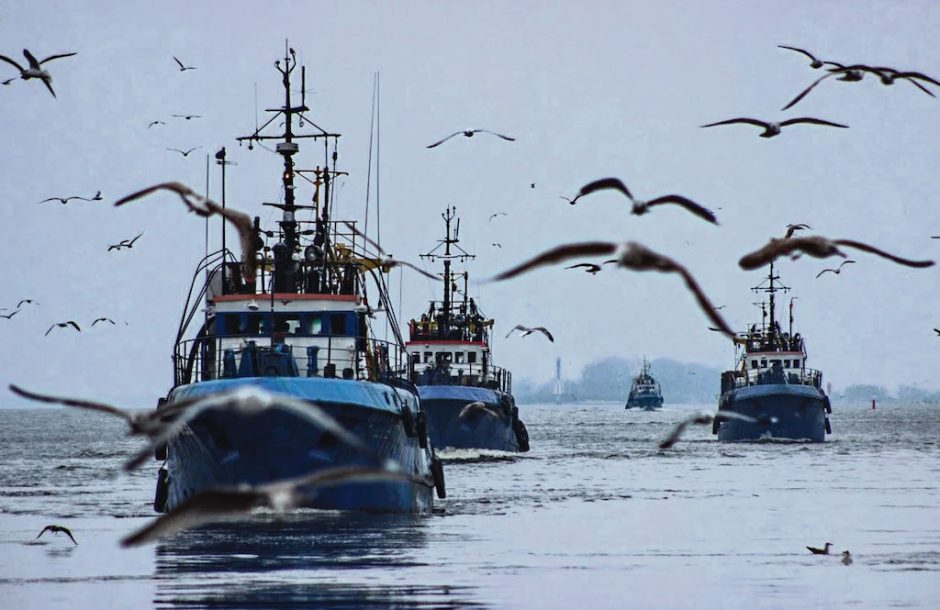 Žvejų Baltijos jūroje vėl laukia badas