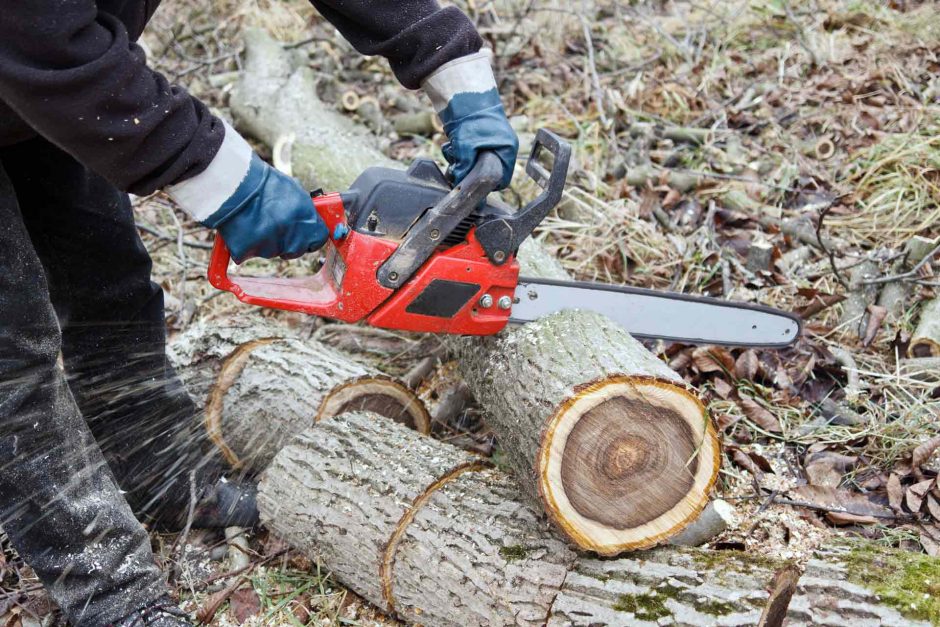 Neteisėtai kirtę saugotinus medžius Kudirkos Naumiestyje paklos per 6 tūkst. eurų