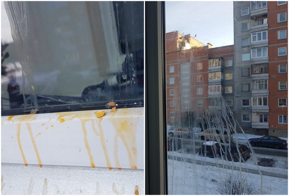 Incidentas Klaipėdoje: dėl trispalvės – kiaušiniu į langą?