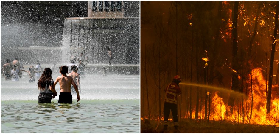 Vakarų Europoje būgštaujama dėl artėjančių karščių ir miškų gaisrų grėsmės