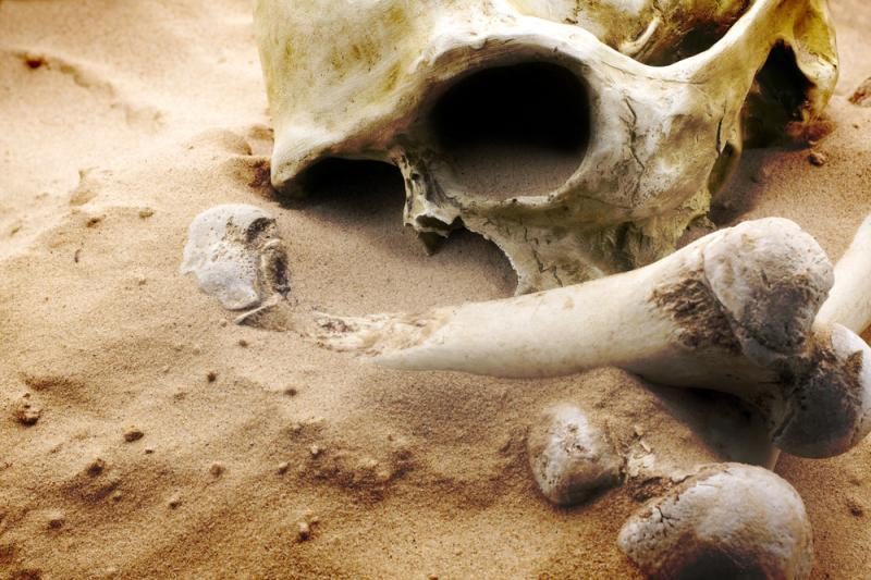 Jurbarko rajone kasant žemę atrasta žmogaus kaukolė ir kaulai