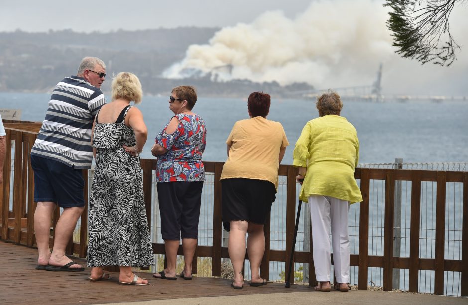 Australijos krūmynų gaisrai paveikė tris ketvirtadalius gyventojų