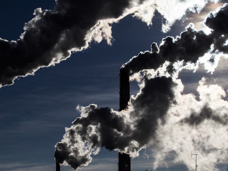 Aplinkos ministras: Lietuvai būtų sunku sparčiau mažinti anglies dioksido išmetimą