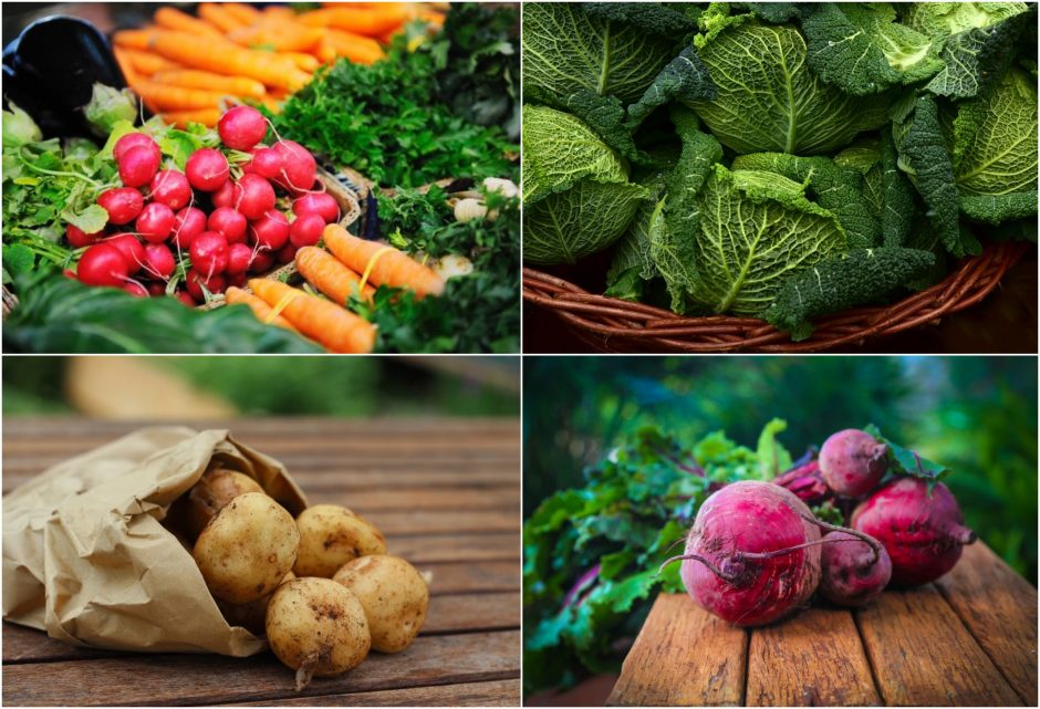 Specialisto patarimai: šviežios daržovės – ir maistas, ir vaistas