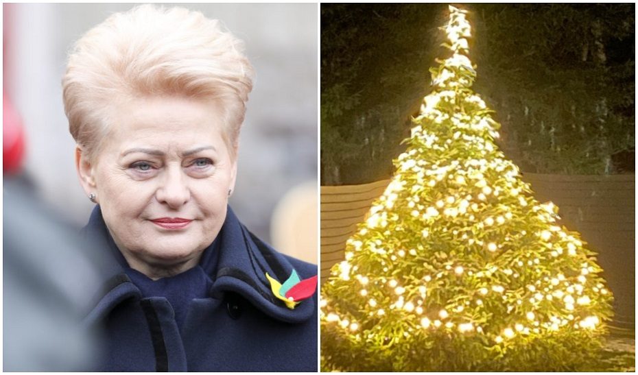 Internautus sužavėjo D. Grybauskaitės eglutė: kas tikra – visada gražu!