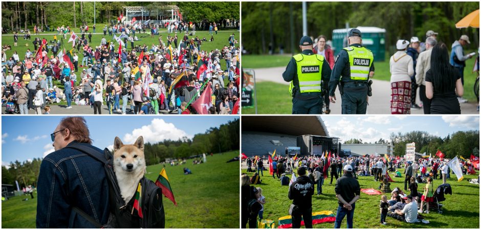 Vilnius šurmuliuoja: į Vingio parką sugužėjo „Didžiojo šeimos gynimo maršo“ dalyviai