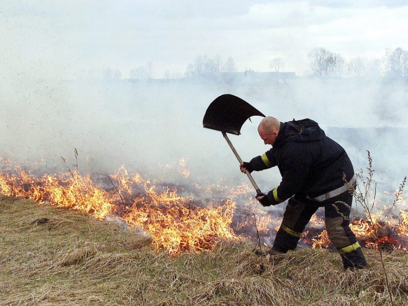 Per parą Lietuvoje kilo 23 žolės gaisrai: išdegė beveik dvylika hektarų ploto