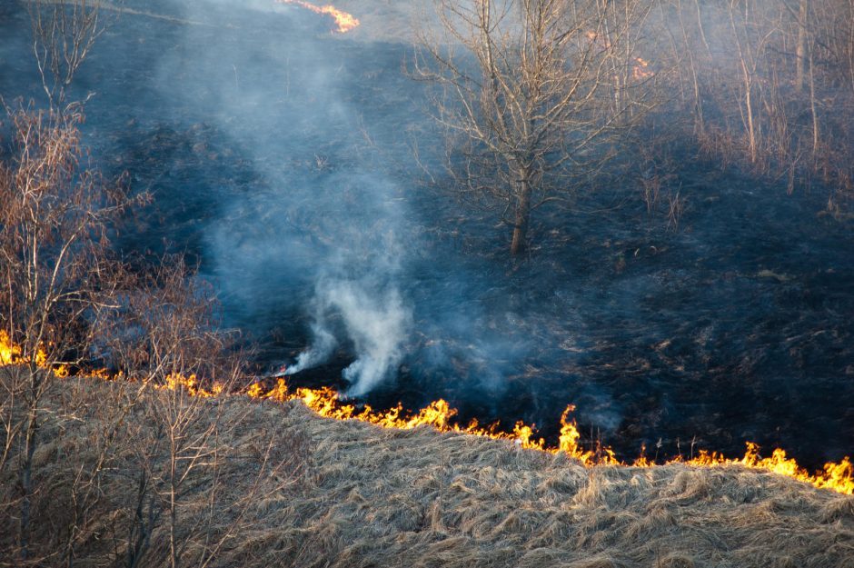 Miškų urėdija įspėja: žolės deginimas – pagrindinė miško gaisrų priežastis