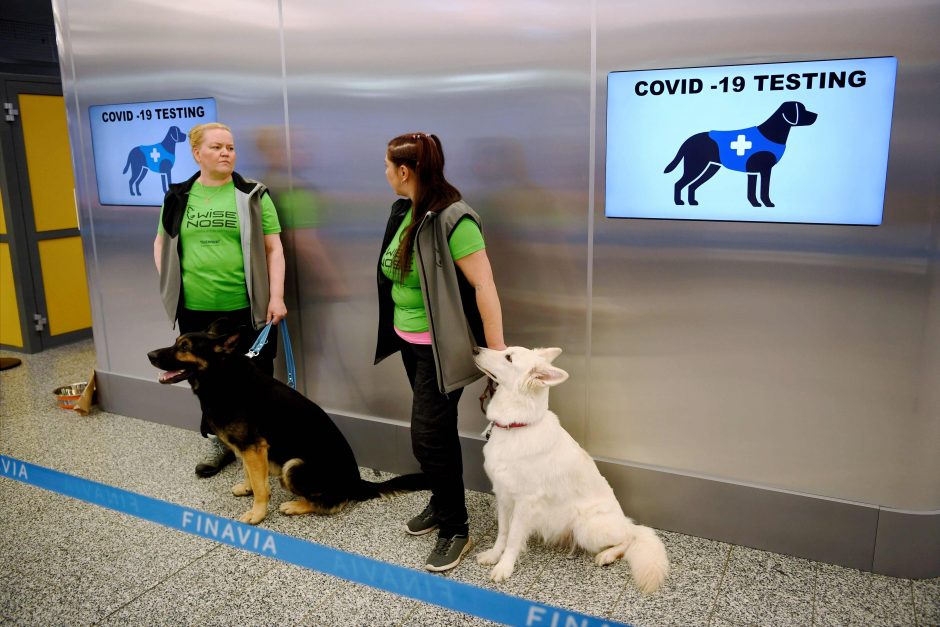 Kova su virusu: Helsinkio oro uoste dirba COVID-19 galintys diagnozuoti šunys