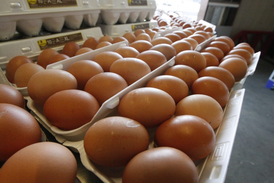 Būkite atidūs: prieš Velykas į Lietuvą plūsta ES standartų neatitinkantys kiaušiniai