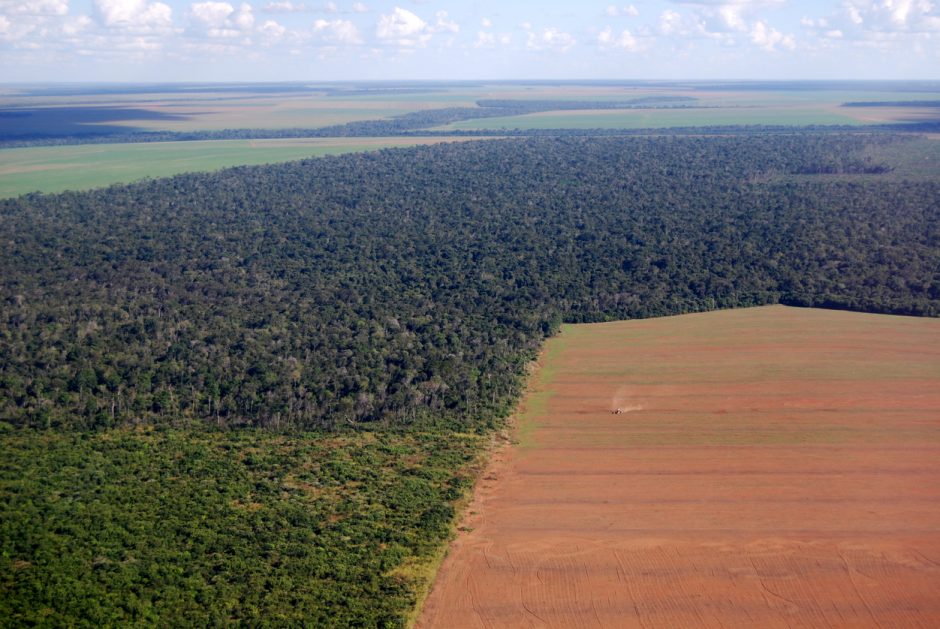 Prancūzija gelbės Amazonės miškus: rengiasi riboti sojos naudojimą