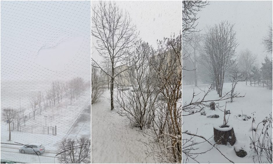 Kalendorinį pavasarį dar vejasi žiema: dalį Lietuvos užklojo sniegas