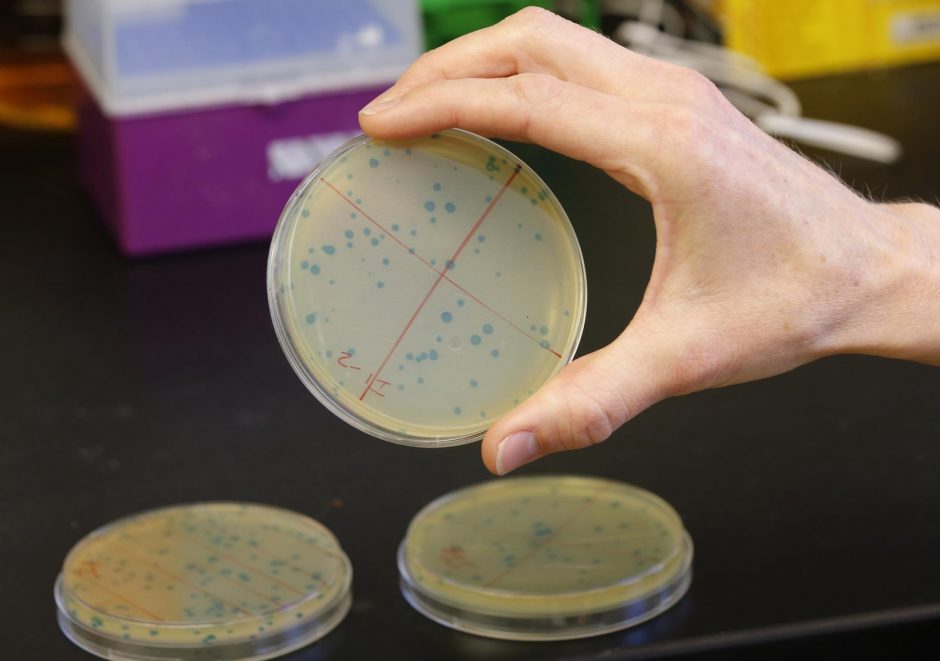 Bakterijų atsparumas antimikrobinėms medžiagoms nemažėja