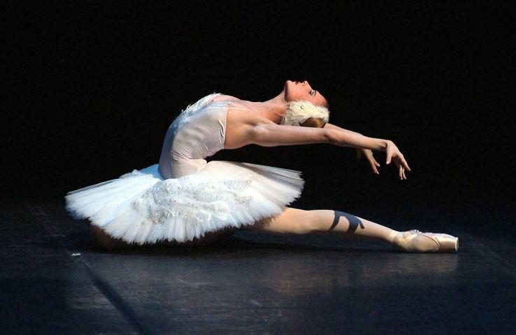 Didžiajame teatre pasaulinės baleto žvaigždės šoko dėl Ukrainos