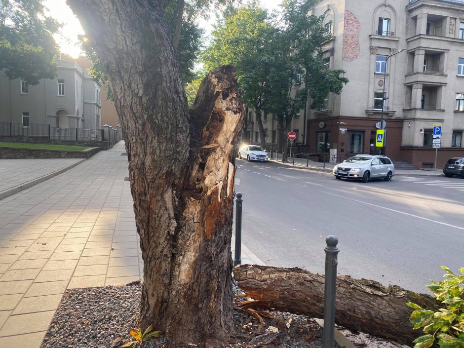 Ankstų rytą V. Putvinskio gatvėje vairuotojus pasitiko netikėta kliūtis