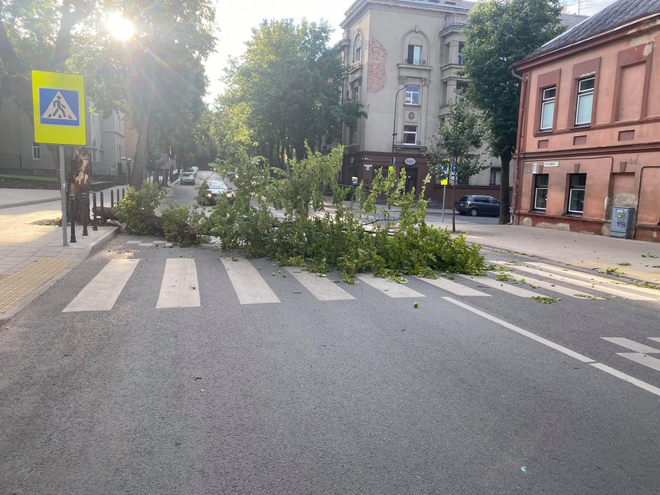 Ankstų rytą V. Putvinskio gatvėje vairuotojus pasitiko netikėta kliūtis