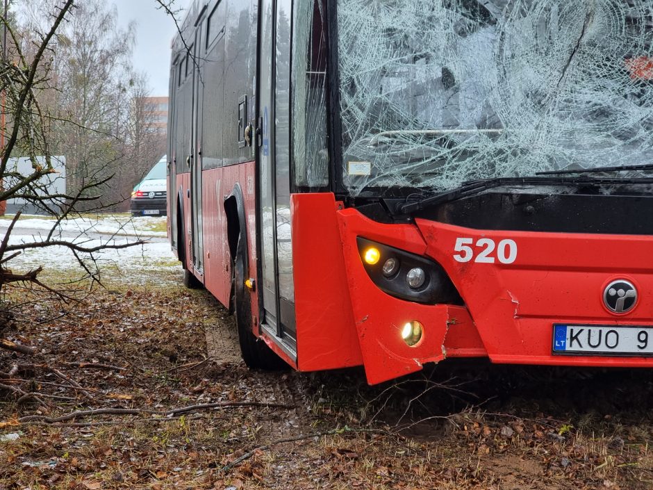 Per plauką nuo tragedijos: autobuso vairuotojas prarado sąmonę ties posūkiu, kur jo laukė keleiviai