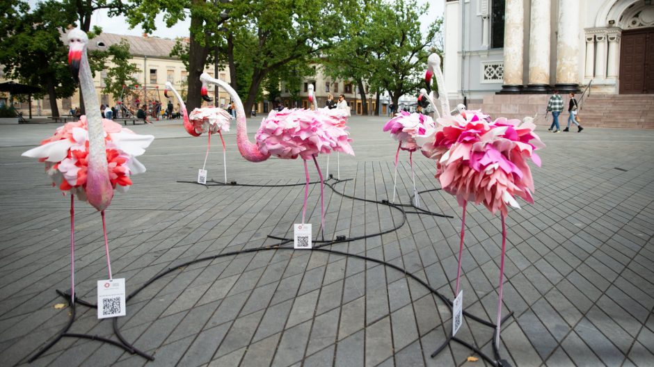 Miesto centre nutūpę flamingai turi svarbią misiją: kviečia išgirsti mažųjų ligoniukų svajones